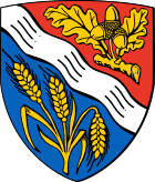 Logo ringgau